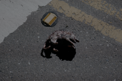 Still-2025-05-15-221943_1.1.1-1-scaled